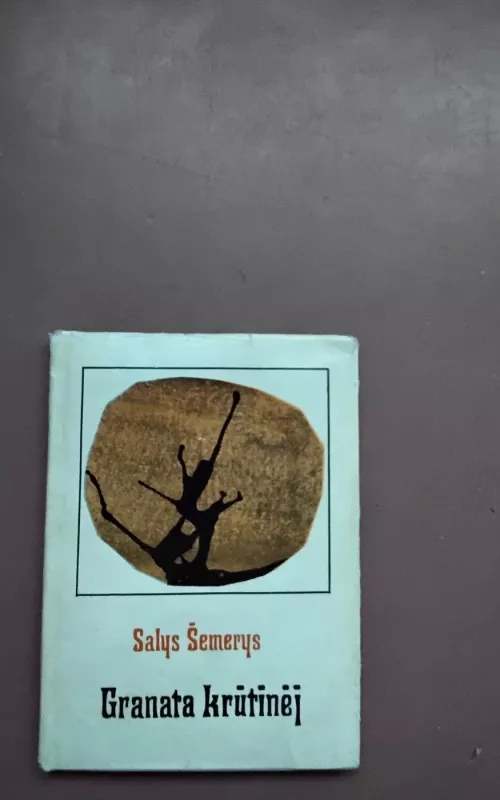Granata krūtinėj - Salys Šemerys, knyga