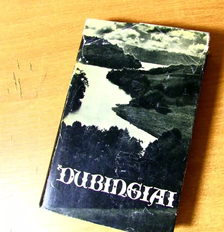 Kelionė Į Šidlavą - S. Lankininkienė, knyga 3