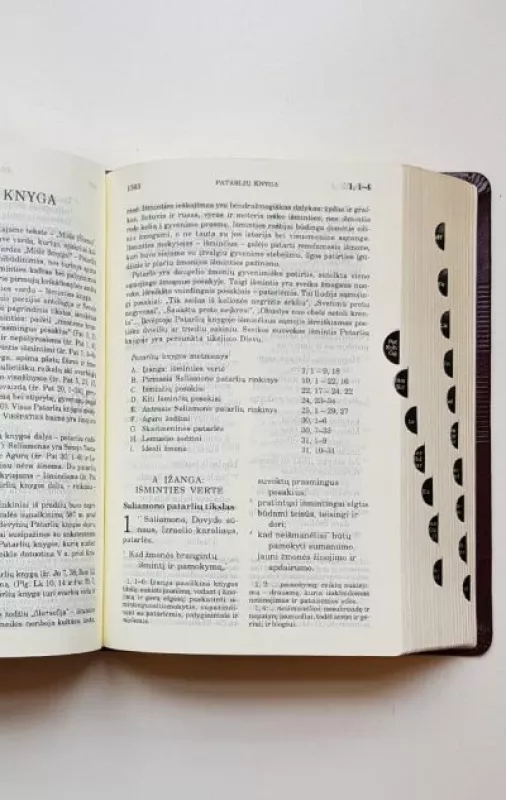 Šventasis Raštas: Senasis ir Naujasis Testamentas - Česlovas Kavaliauskas, knyga 3