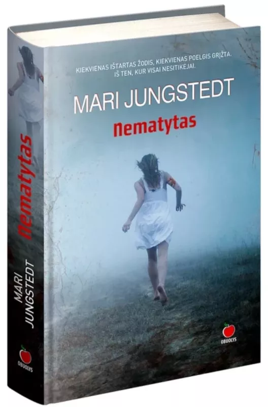 Nematytas - Mari Jungstedt, knyga 3