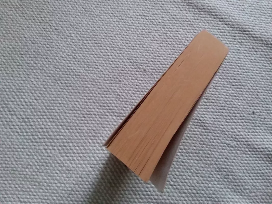 Patriarchai ir pranašai - E. Vait, knyga 4