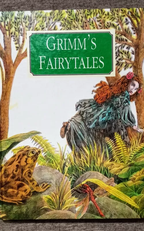 Grimm's Fairytales -  Broliai Grimai, knyga 2
