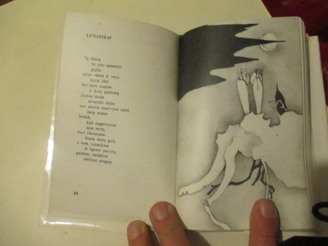 Viržių midus - Aleksys Churginas, knyga 5