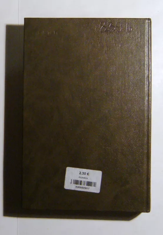 Apysakos. Badas. Panas - Bjornstjernė Bjornsonas, Knutas  Hamsunas, knyga 6