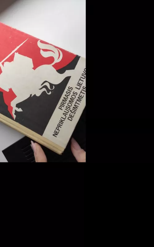 Pirmasis nepriklausomos Lietuvos dešimtmetis - Autorių Kolektyvas, knyga