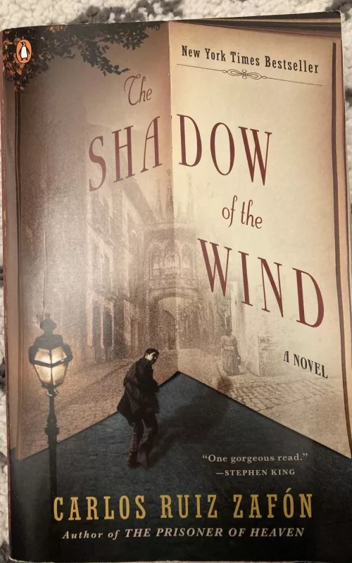 The Shadow of the Wind - Carlos Ruiz Zafon, knyga 2