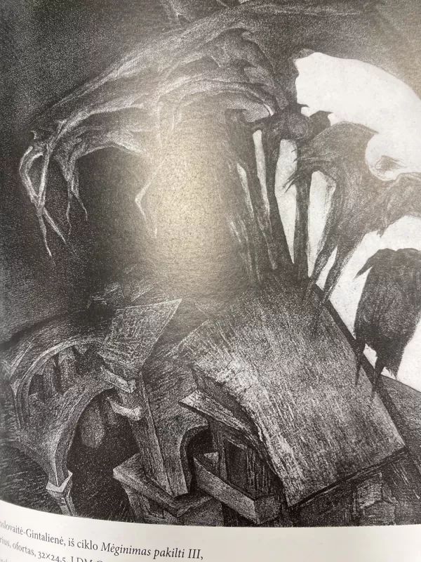 Moters savastis dailėje (62) - R. Rachlevičiūtė, knyga 3