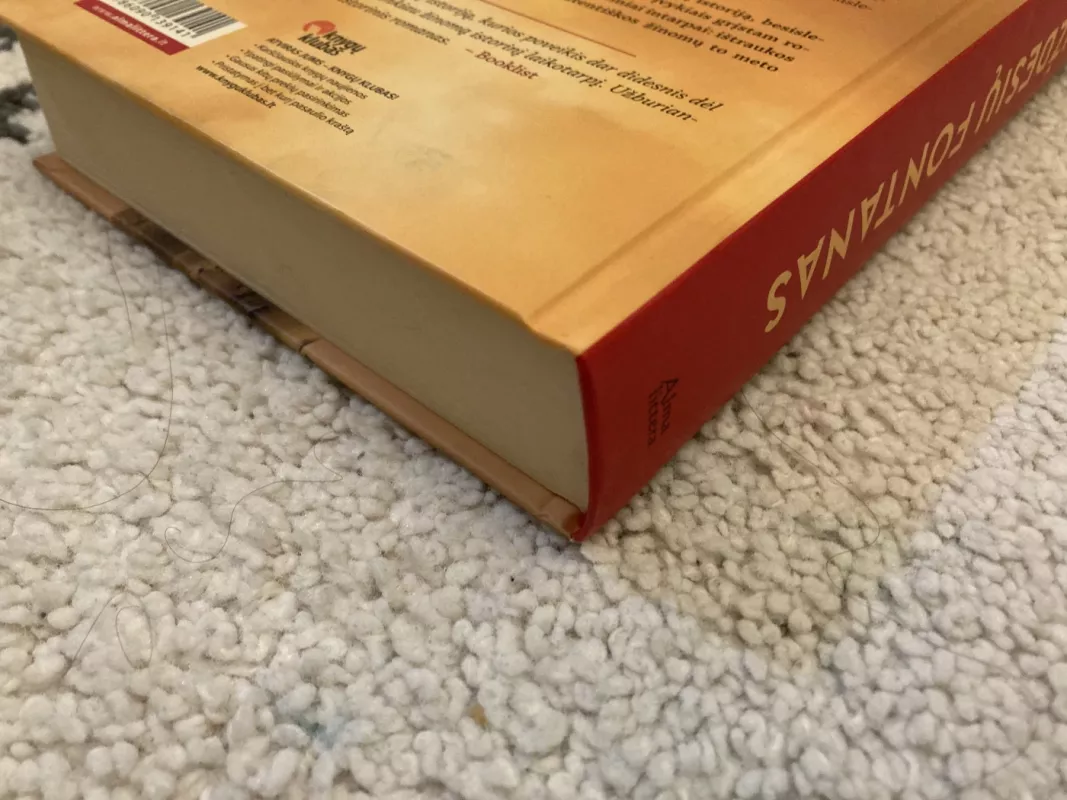 Kuždesių fontanas - Šepetys Ruta, knyga 4