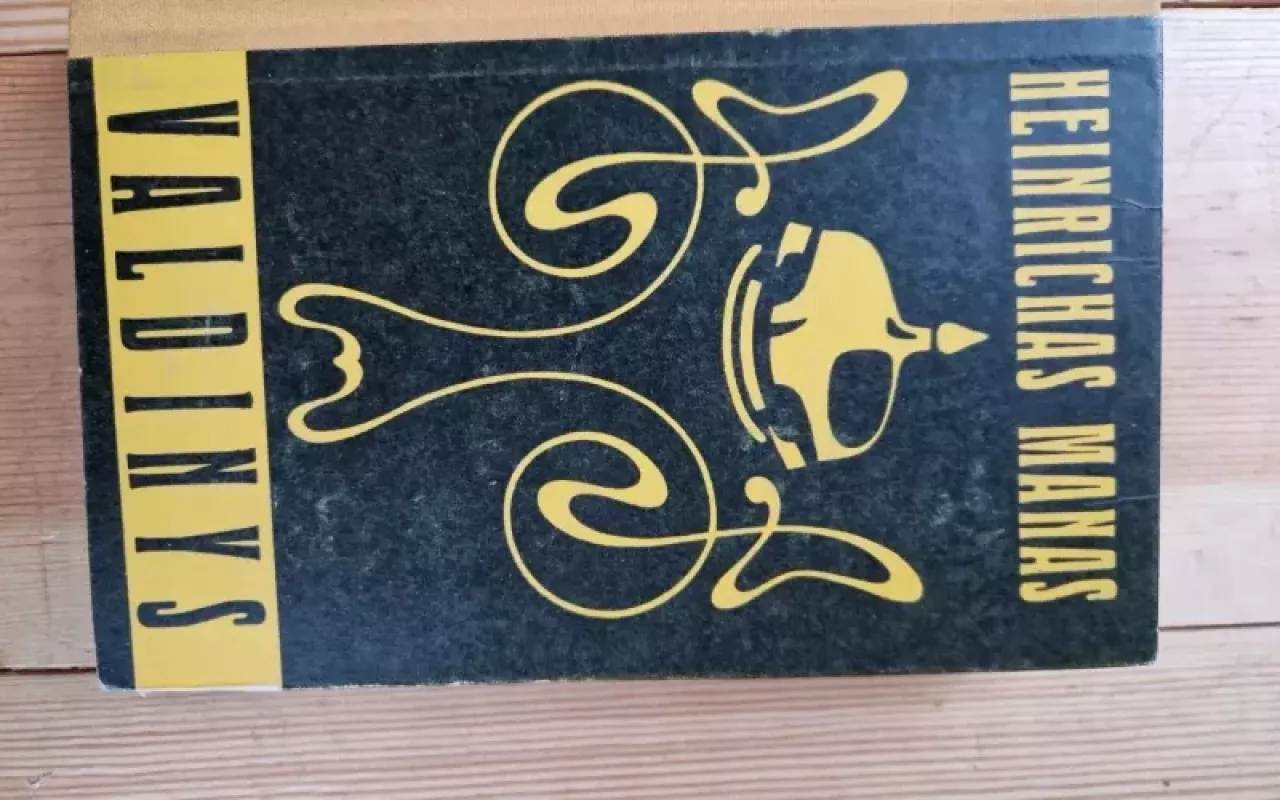 Valdinys - Heinrichas Manas, knyga 3