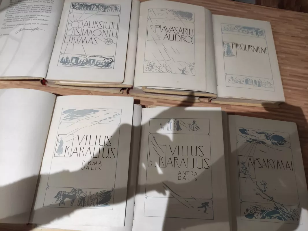 Raštai 1-6 tomai - Ieva Simonaitytė, knyga 5