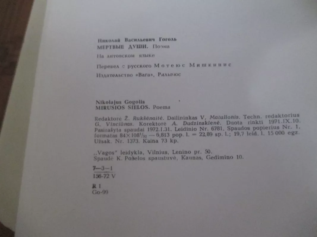 Mirusios sielos - Nikolajus Gogolis, knyga 4