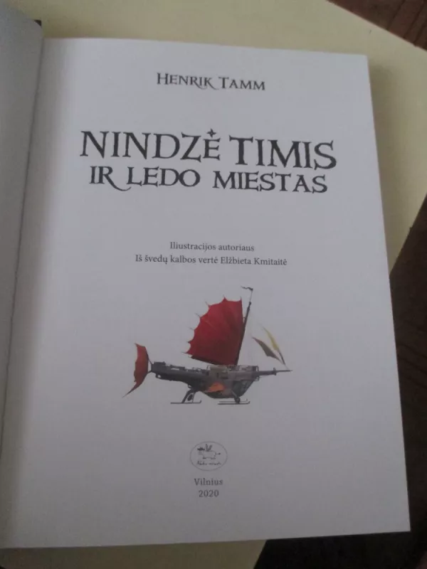 Nindzė Timis ir Ledo miestas - Henrik Tamm, knyga 3