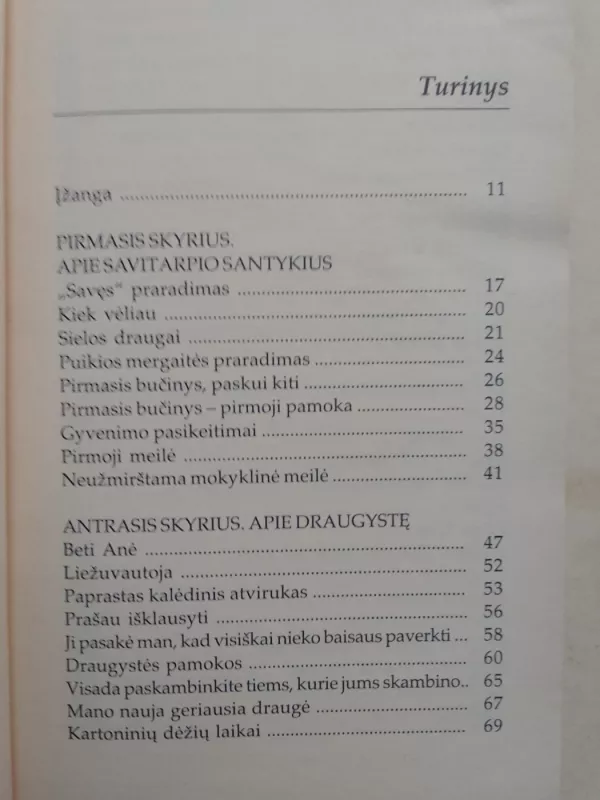 Atgaiva jaunuolio sielai - Jack Canfield, Mark Viktor  Hansen, knyga 4