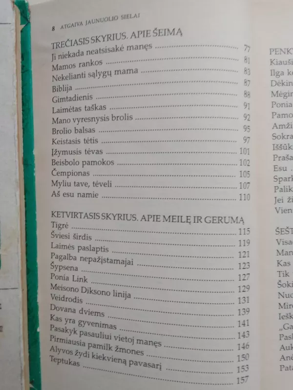 Atgaiva jaunuolio sielai - Jack Canfield, Mark Viktor  Hansen, knyga 5