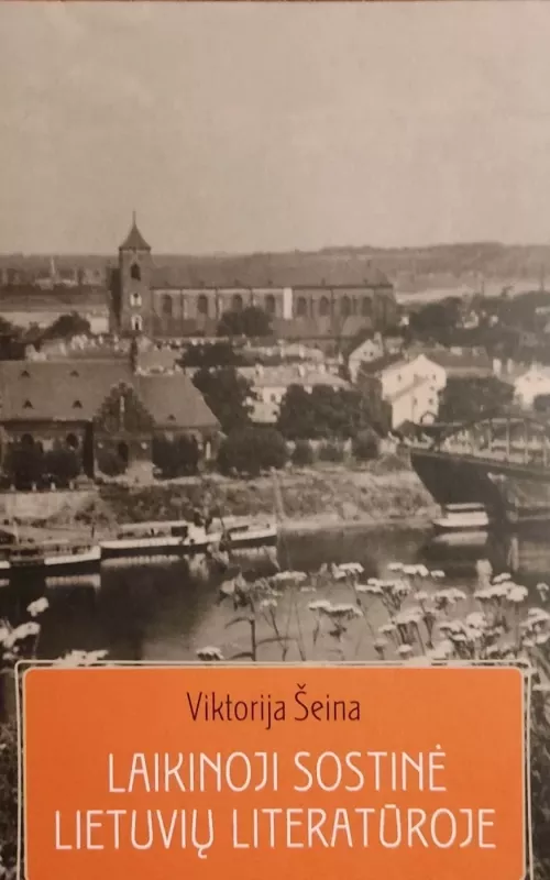 Laikinoji sostinė lietuvių literatūroje - Viktorija Šeina, knyga