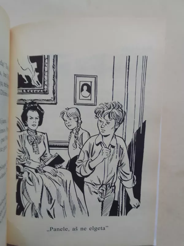 Polijana - Porter Eleanora, knyga 6