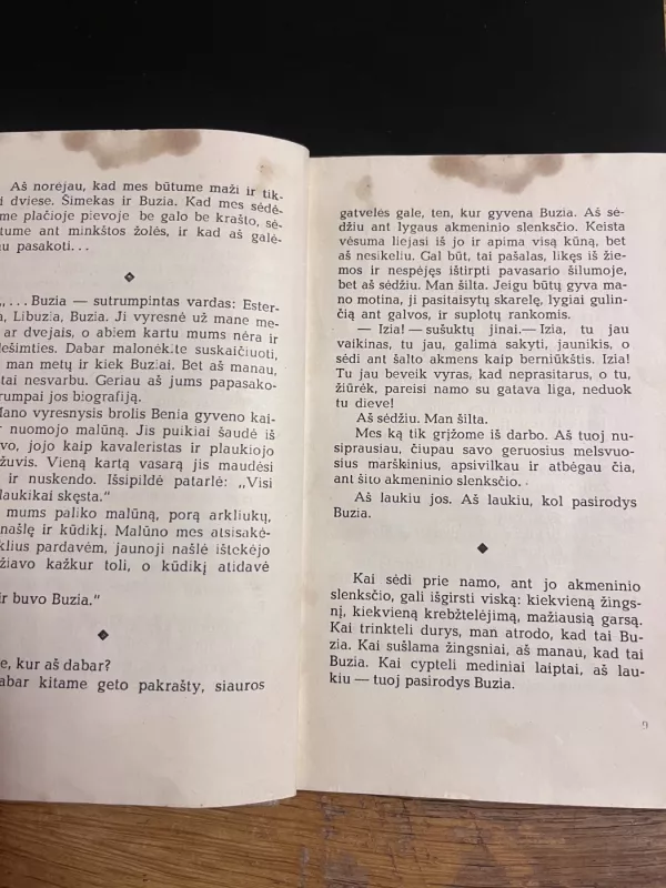 Lygiosios trunka akimirką - Icchokas Meras, knyga 5