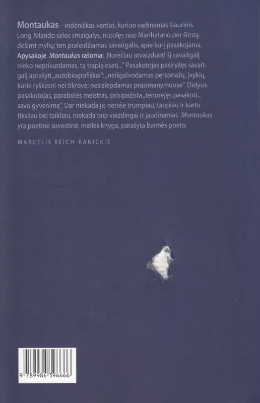Montaukas - Max Frisch, knyga 3