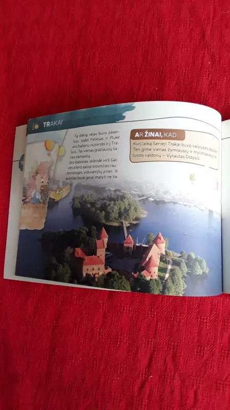 Stumbrytės Plukės atostogos Lietuvoje - Danguolė Kandrotienė, knyga 4