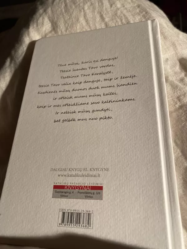 Kai meldžiatės, sakykite TĖVE MŪSŲ - Pranciškus Popiežius, knyga 3