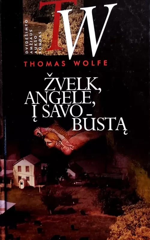 Žvelk, angele, į savo būstą - Thomas Wolfe, knyga