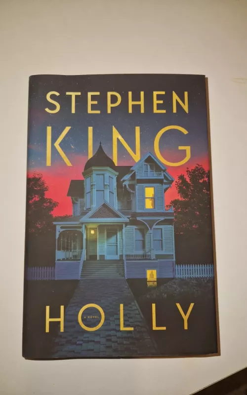 Holly - Stephen King, knyga