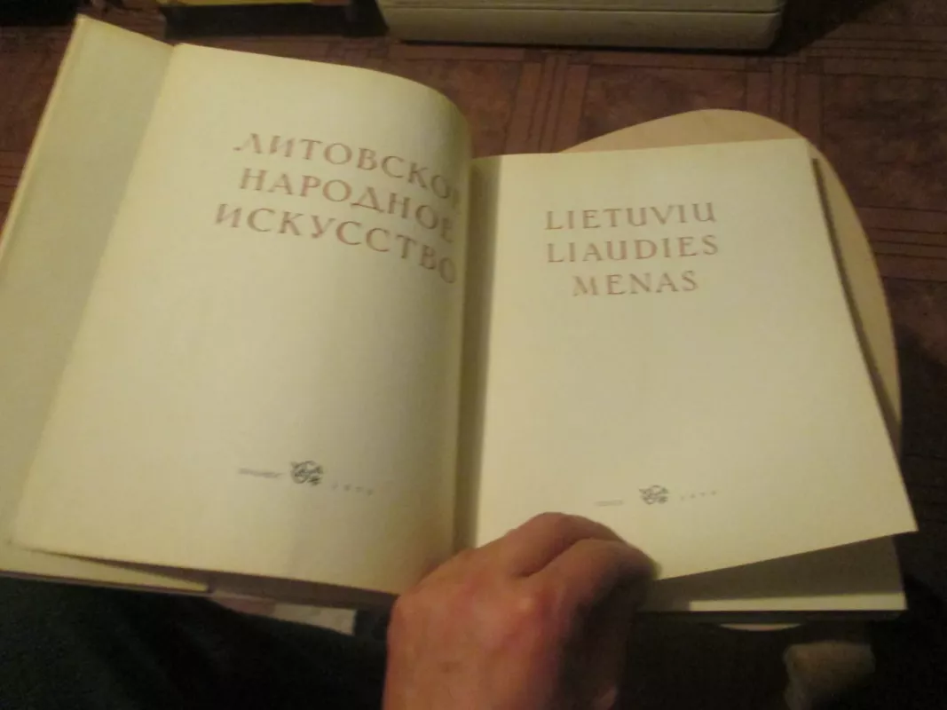 Lietuvių liaudies menas. Mažoji architektūra (I dalis) - Autorių Kolektyvas, knyga 4
