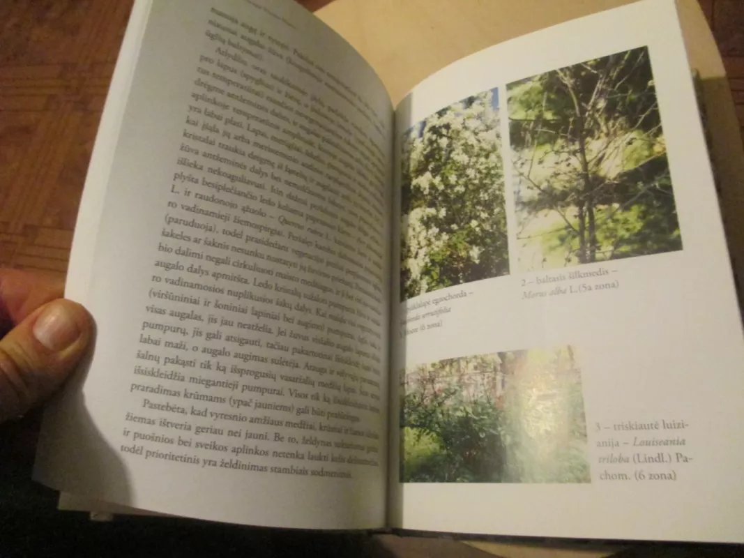 Sumedėjusių augalų ištvermingumo zonos Lietuvoje, žiemos pakenkimai ir jų vertinimas - E.V. Navys, knyga 4