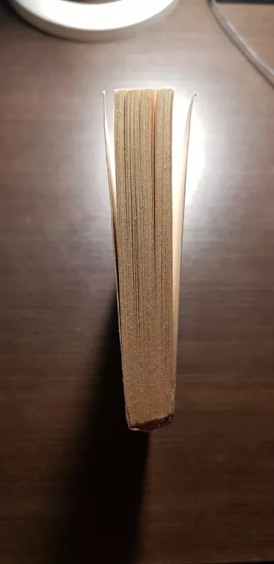 Drakono lobis - Allen L. Wold, knyga 4