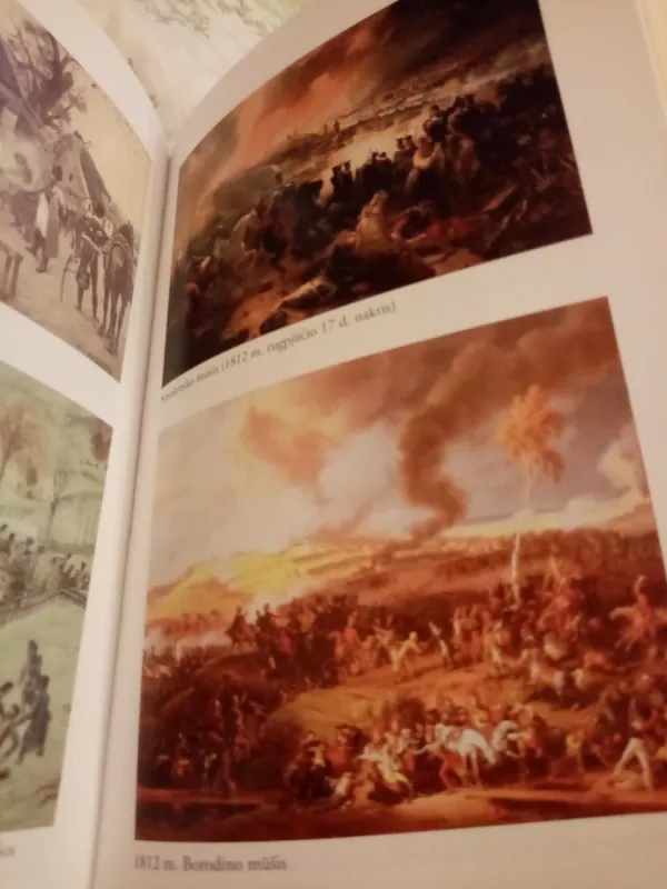 Napoleono Bonaparto triumfas ir tragedija (1811-1815) - Autorių Kolektyvas, knyga 4
