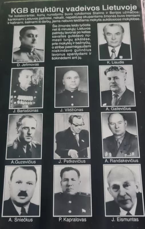 Berija ir jo parankiniai Lietuvoje - Jaroslavas Banevičius, knyga 4