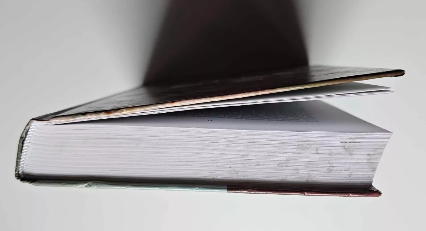 Kiek sveria siela - Filomena Taunytė, knyga 4