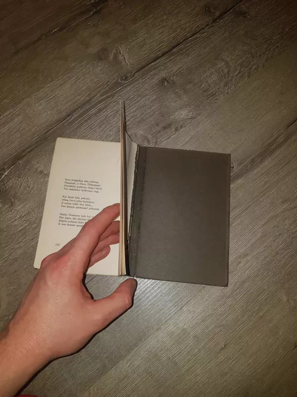 Antanas Miškinis Keturi Miestai - Antanas Miškinis, knyga 4