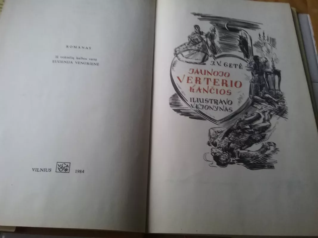 Jaunojo Verterio kančios - Johanas Volfgangas Gėtė, knyga 3