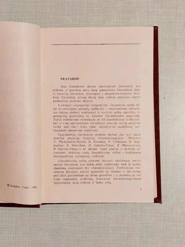 Lietuvių literatūra ir pasaulinės literatūros procesas - Vytautas Kubilius, knyga 6