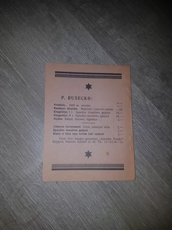 Didysis Vilniaus Seimas - P. Ruseckas, knyga 4