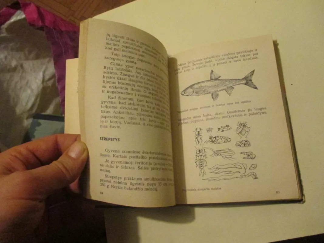 Jaunasis žvejys - Valentinas Tichanovičius, knyga 4