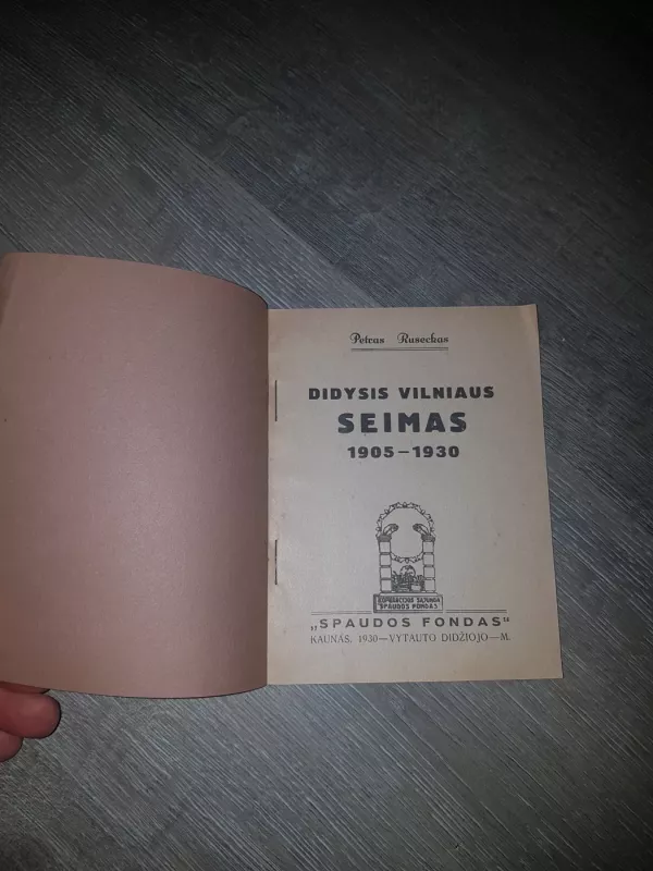 Didysis Vilniaus Seimas - P. Ruseckas, knyga 3