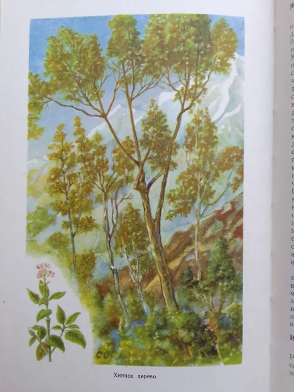 География культурных растений - С.И. Глуздаков, knyga 6