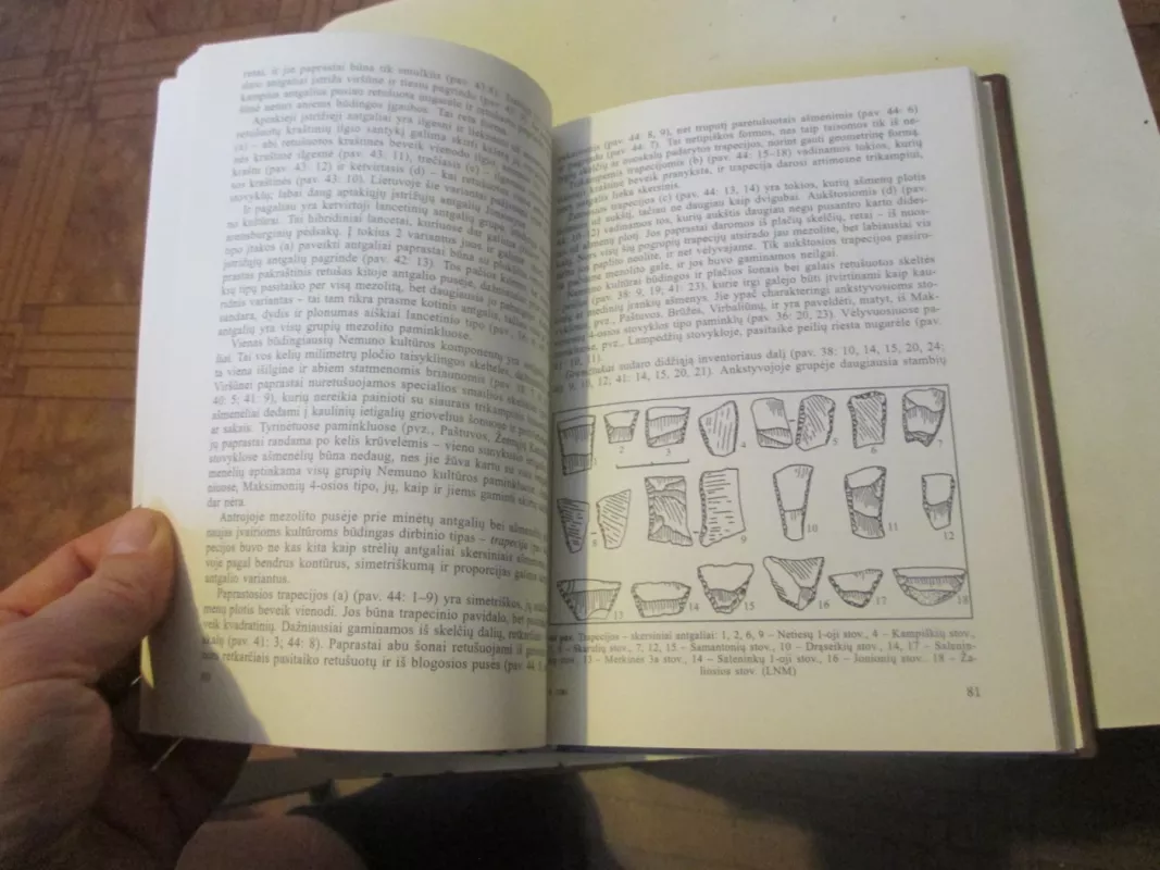 Akmens amžius Lietuvoje - R. Rimantienė, knyga 6