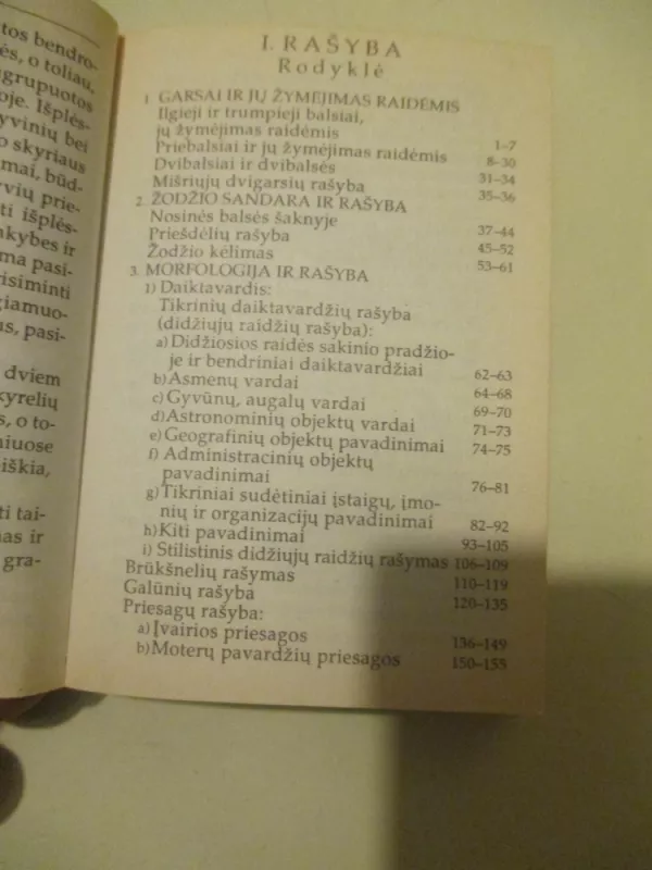 Lietuvių kalbos taisyklių sąvadas - Benjaminas Kondratas, knyga 3