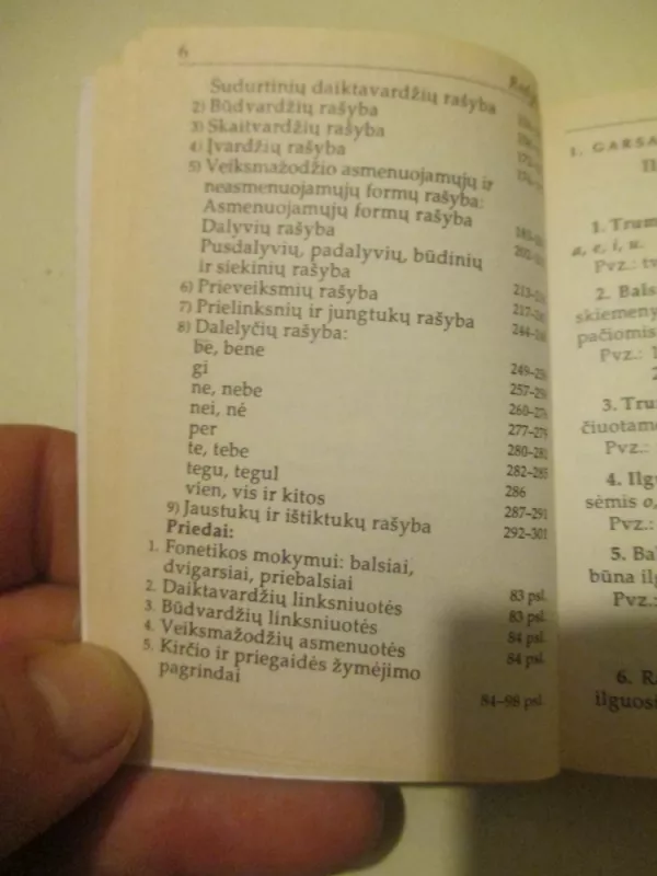 Lietuvių kalbos taisyklių sąvadas - Benjaminas Kondratas, knyga 4
