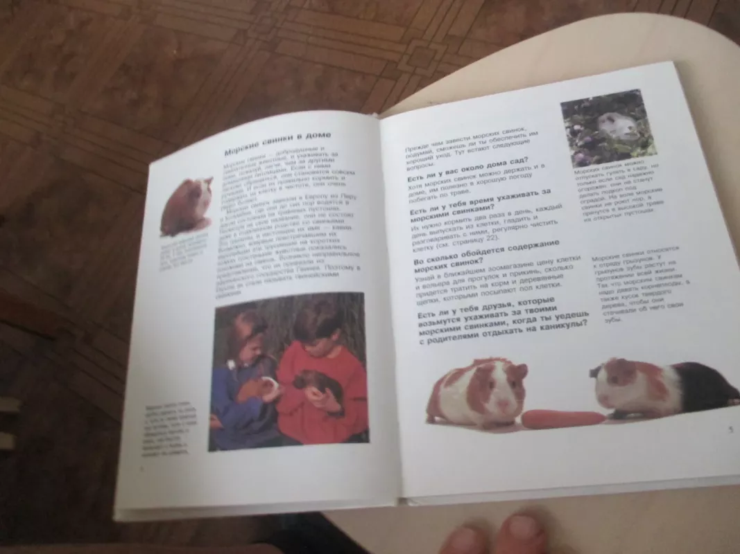 Твои питомцы: Морские свинки. Кролики - Хелен Пайерс, knyga 4