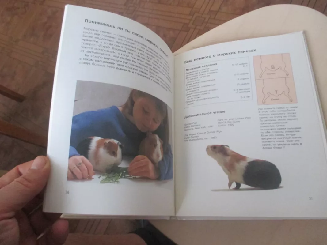 Твои питомцы: Морские свинки. Кролики - Хелен Пайерс, knyga 5