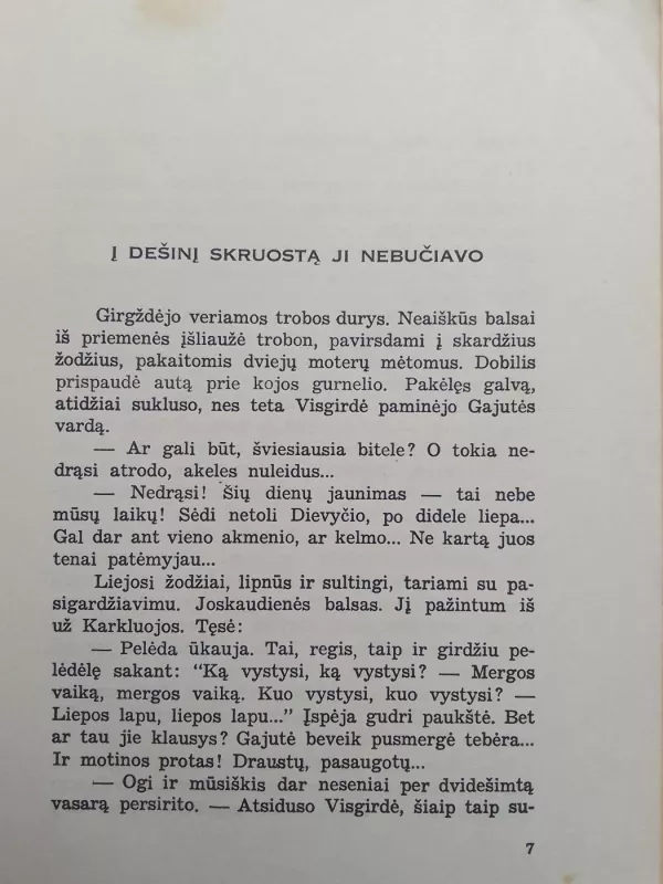 Priesaika. Didžioji meilė II - Rūta Alė, knyga 5