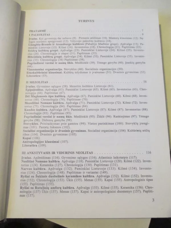 Akmens amžius Lietuvoje - R. Rimantienė, knyga 4