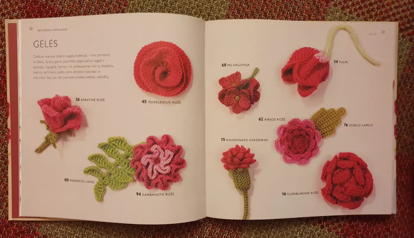 100 megztų ir nertų gėlių - Lesley Stanfield, knyga 4