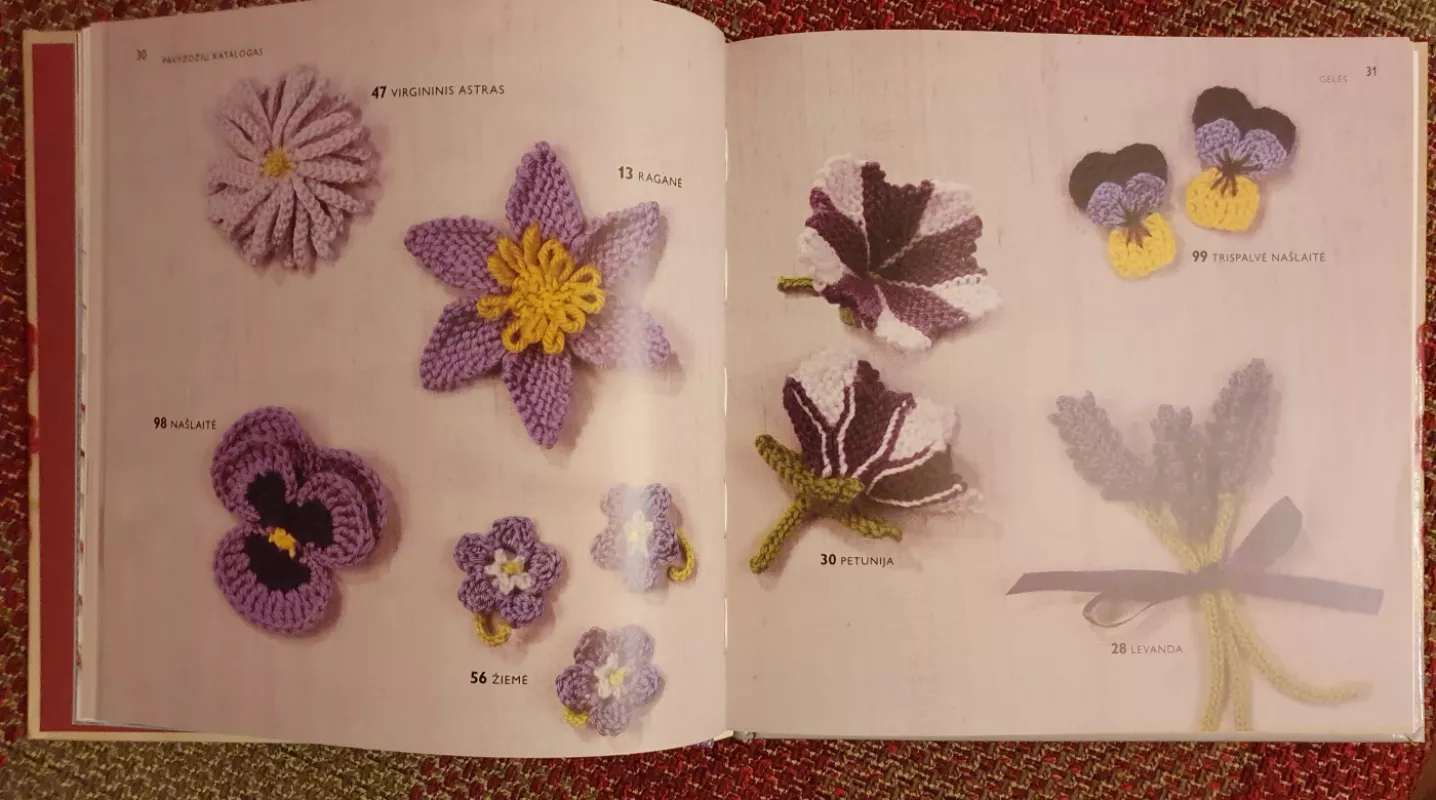 100 megztų ir nertų gėlių - Lesley Stanfield, knyga 5