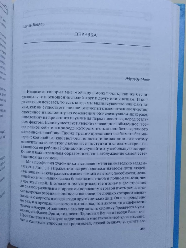 Суицидология: прошлое и настоящее: Проблема самоубийства в трудах философов, социологов, психотерапевтов и в художественных текстах - Autorių Kolektyvas, knyga 6