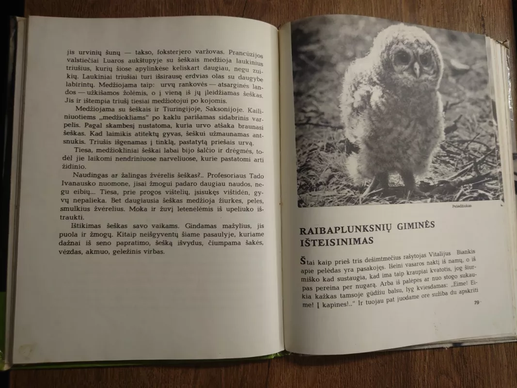 Laiškai iš elnių miško - Leonardas Grudzinskas, knyga 3